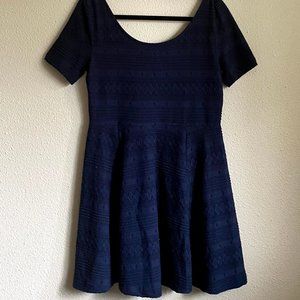 H&M Navy Blue Skater Dress